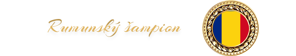 Rumunský šampion