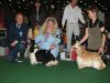 Creamy All Soul By lady Anarion+r.CACIB Wyoming Moser Dog