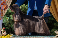 Truly Yours Must Be Love