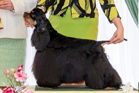 Galaksi Always On My Mind